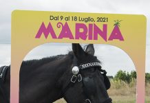 marina